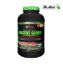 تصویر  مکمل افزایش وزن 4200 Professional Massive Gainer برند ADVAY+